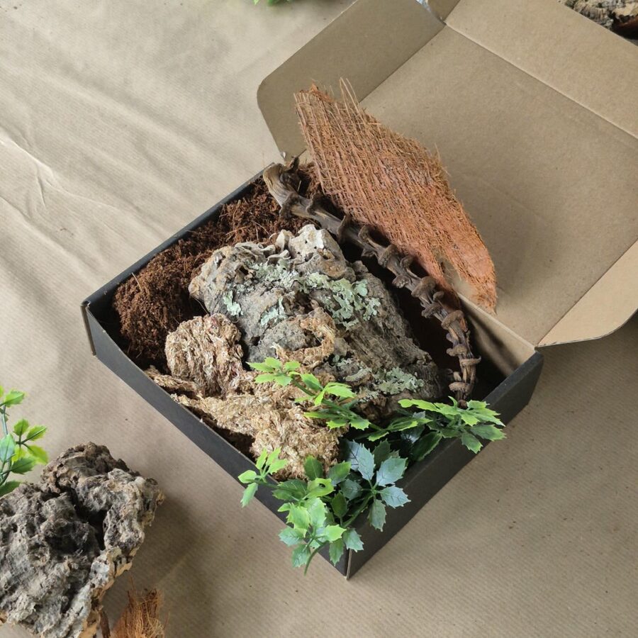 Zestaw startowy do terrarium 15x15x25 cm
