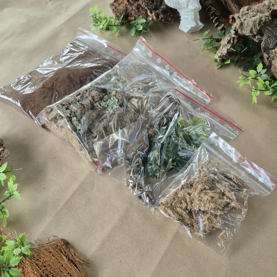 Zestaw startowy do terrarium 15x15x25 cm - obrazek 2