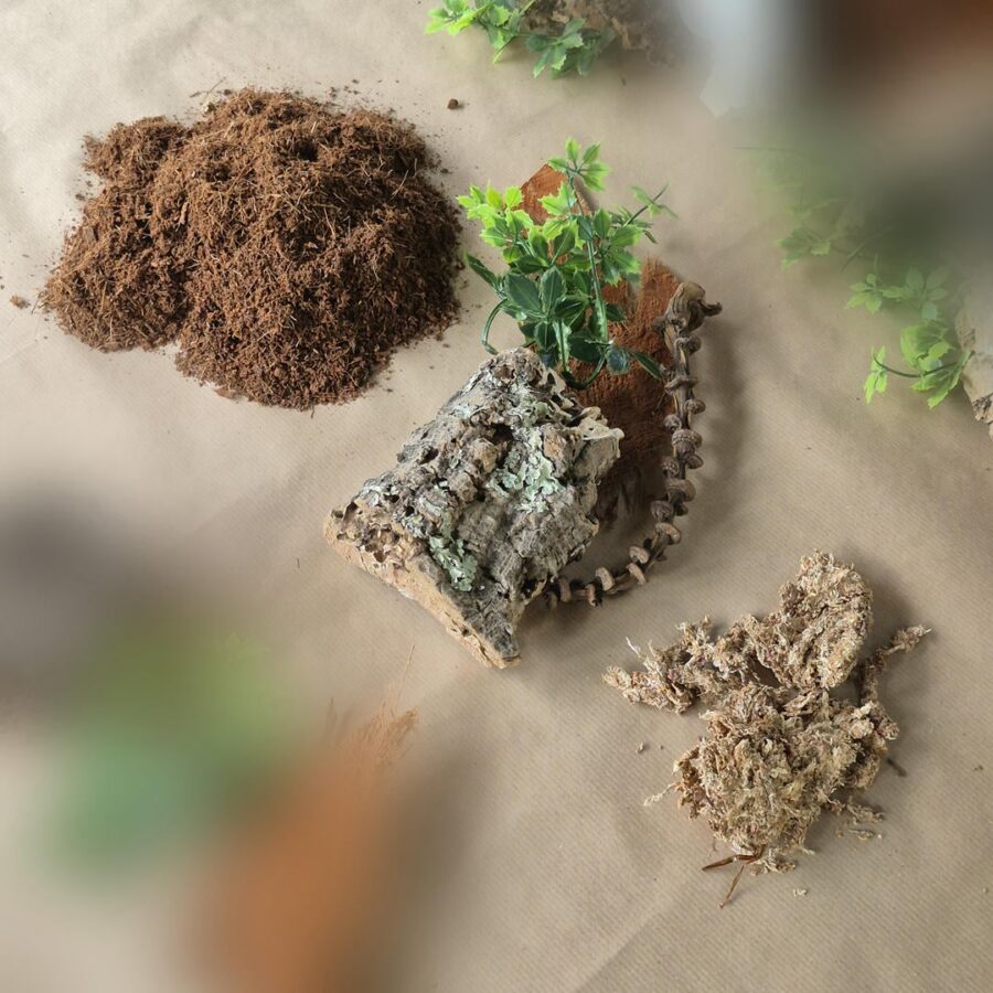 Zestaw startowy do terrarium 15x15x25 cm - obrazek 3