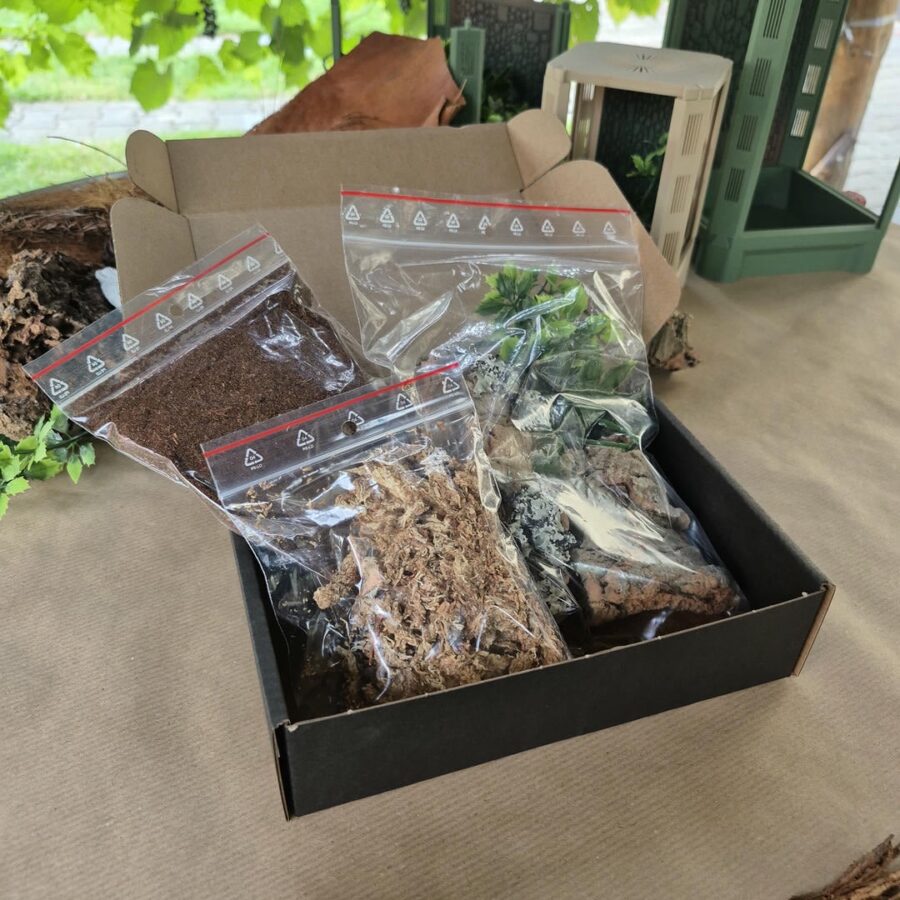 Zestaw startowy do terrarium 15x15x25 cm - obrazek 4