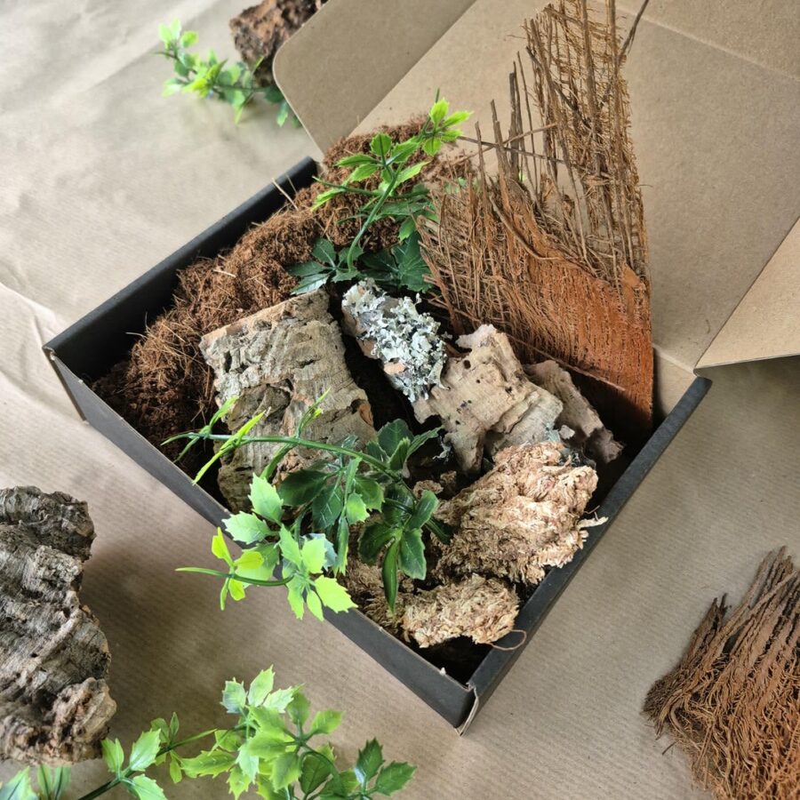 Zestaw startowy do terrarium 15x15x15 cm