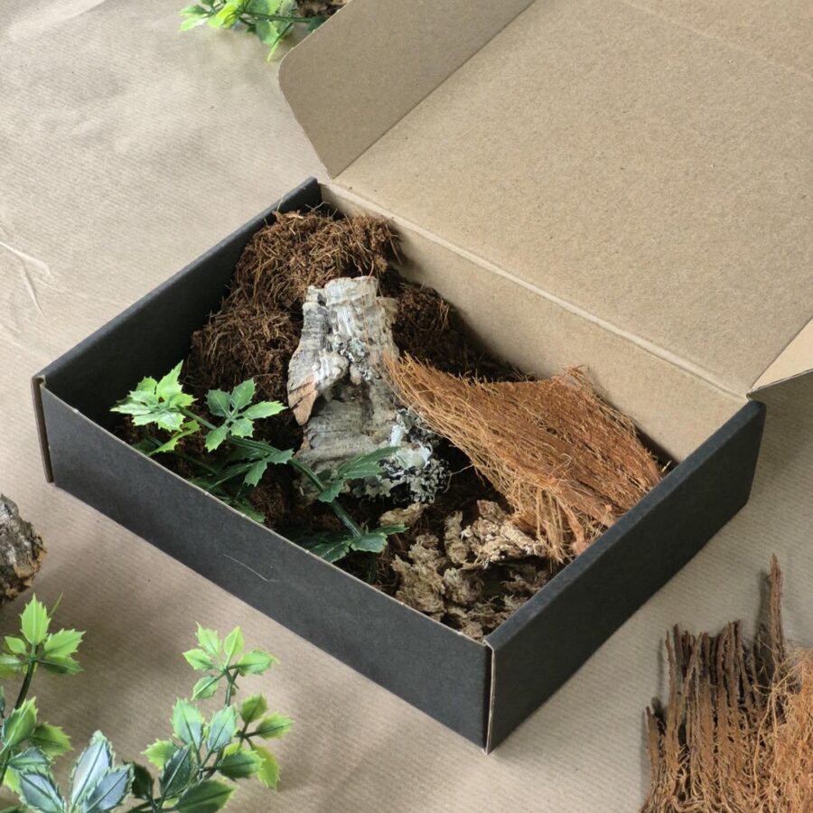 Zestaw startowy do terrarium 10x10x15 cm