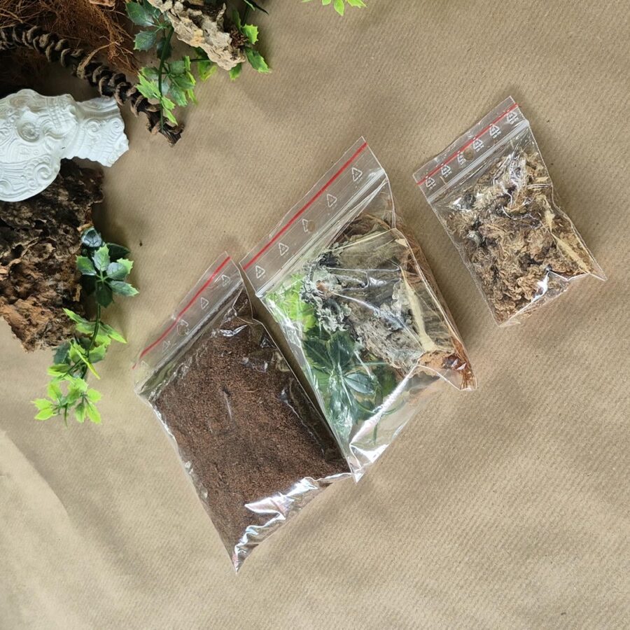 Zestaw startowy do terrarium 10x10x15 cm - obrazek 2