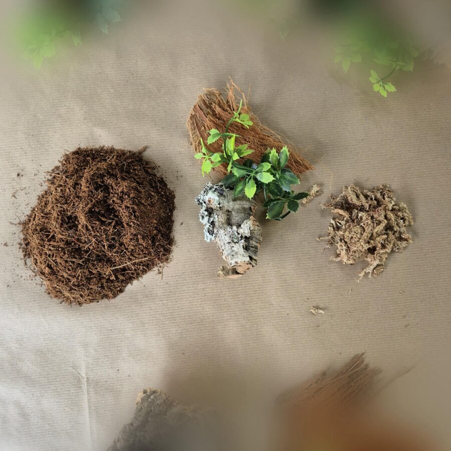 Zestaw startowy do terrarium 10x10x15 cm - obrazek 3